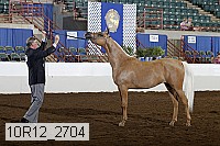 10r12_2704 thumbnail