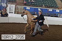 10r12_2705 thumbnail