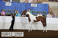 10r12_2707 thumbnail