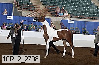 10r12_2708 thumbnail