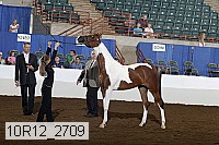 10r12_2709 thumbnail