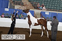10r12_2710 thumbnail