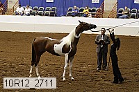 10r12_2711 thumbnail