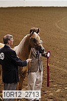 10r12_2713 thumbnail