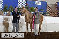 10r12_2714 thumbnail