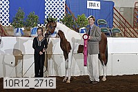 10r12_2716 thumbnail