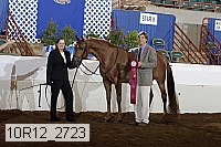 10r12_2723 thumbnail