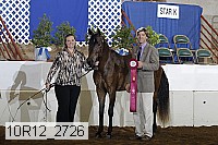 10r12_2726 thumbnail