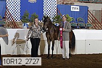 10r12_2727 thumbnail