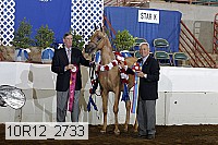 10r12_2733 thumbnail