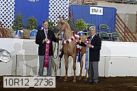 10r12_2736 thumbnail
