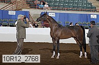 10r12_2768 thumbnail