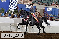 10r12_2913 thumbnail