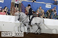 10r12_3003 thumbnail