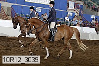 10r12_3039 thumbnail