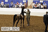 10r12_3212 thumbnail