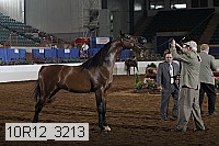 10r12_3213 thumbnail