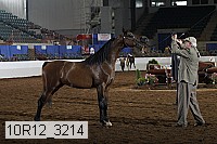 10r12_3214 thumbnail