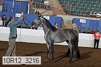 10r12_3216 thumbnail