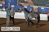 10r12_3218 thumbnail