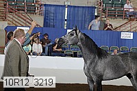 10r12_3219 thumbnail