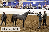 10r12_3220 thumbnail