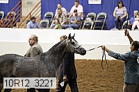 10r12_3221 thumbnail