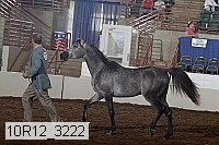 10r12_3222 thumbnail