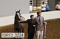 10r12_3224 thumbnail