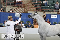 10r12_3343 thumbnail