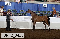 10r12_3423 thumbnail