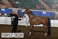 10r12_3528 thumbnail