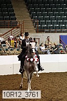 10r12_3761 thumbnail