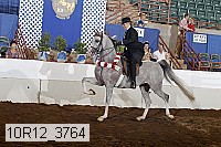 10r12_3764 thumbnail