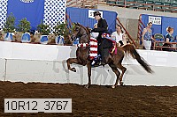 10r12_3767 thumbnail