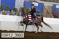 10r12_3860 thumbnail