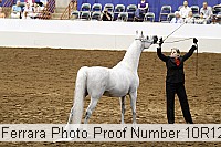 10r12_4021 thumbnail