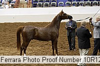 10r12_4090 thumbnail