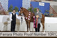 10r12_4144 thumbnail