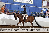 10r12_4191 thumbnail