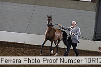 10r12_4364 thumbnail