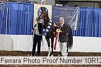 10r12_4432 thumbnail