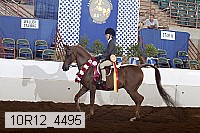 10r12_4495 thumbnail