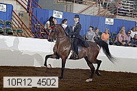 10r12_4502 thumbnail