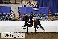 10r12_4548 thumbnail