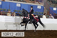 10r12_4553 thumbnail