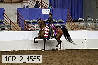 10r12_4555 thumbnail