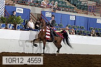 10r12_4559 thumbnail