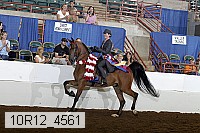 10r12_4561 thumbnail