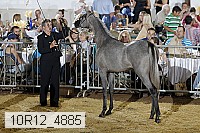 10r12_4885 thumbnail